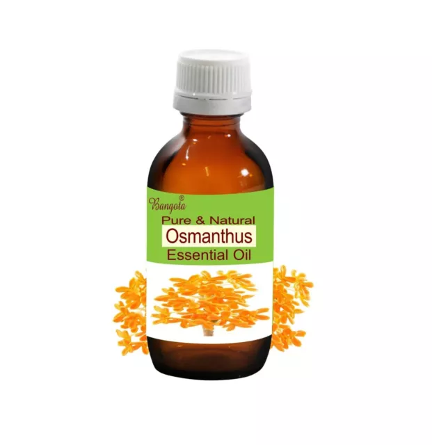 Osmanthus Pure Natural Essential Oil Osmanthus fragrans de Bangota 5ml a 1000ml