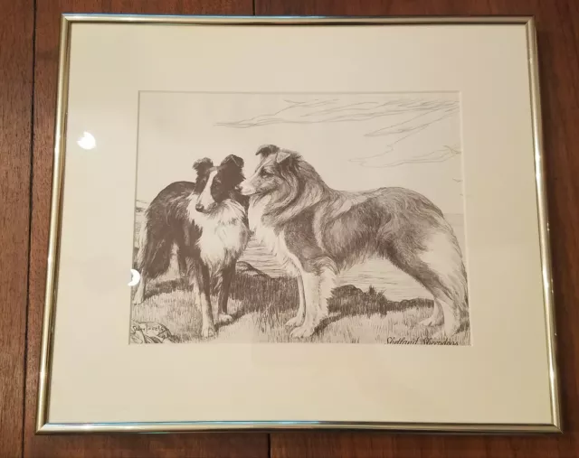 Vintage Shetland Sheepdog Dog Print Signed and Dated by 1954 Nina Scott Langley