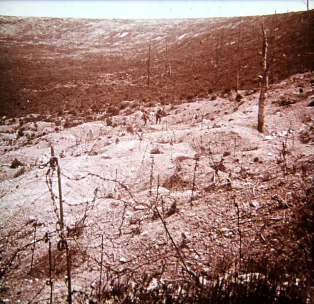 Champagne-Main De Massiges-Plaque Verre-Vue Stereo-Guerre-14/18-Stereoscopique