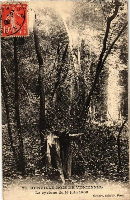 CPA JOINVILLE WOOD by VINVENNES Le Cyclone 1908 (569790)