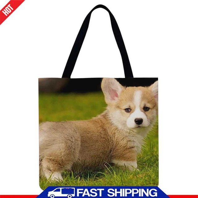 Borsa di lino cane ✅