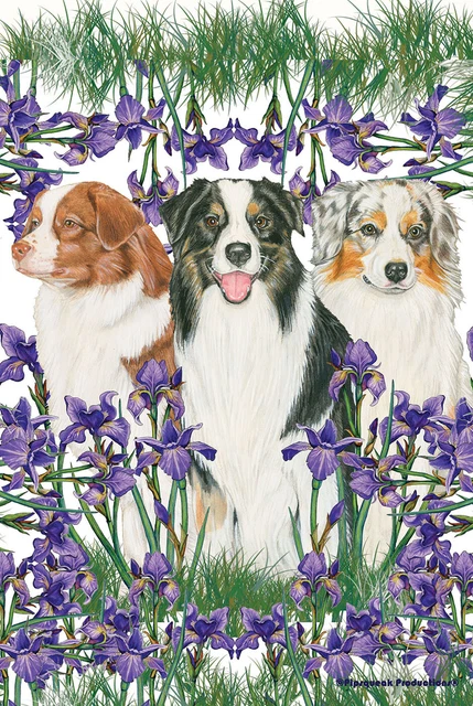 Pipsqueak Garden Flag - Australian Shepherd Trio 495861