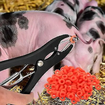 Sheep Castration Pliers with 100 Rings - Animal Equipment Tool