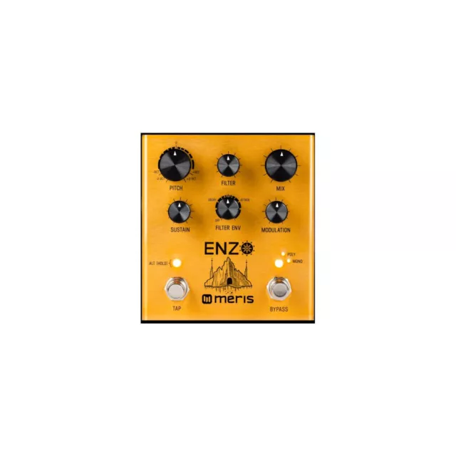 MERIS Enzo - Multi-Voice Oscillateur Synthétiseur