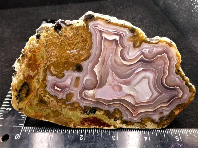 ORCA: Fabulous Polished Agua Nueva Agate Half Nodule, Chihuahua, Mexico