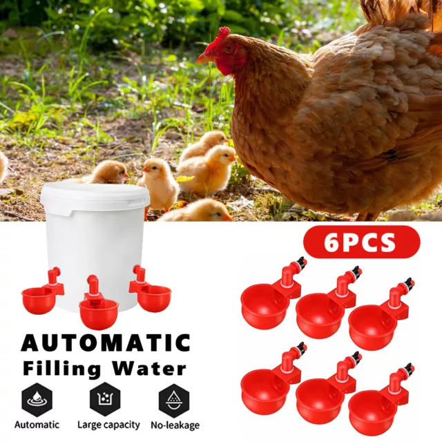 6X Automatic Chicken Water Cup Waterer Poultry Drinking Bowl Feeder Drinker Set