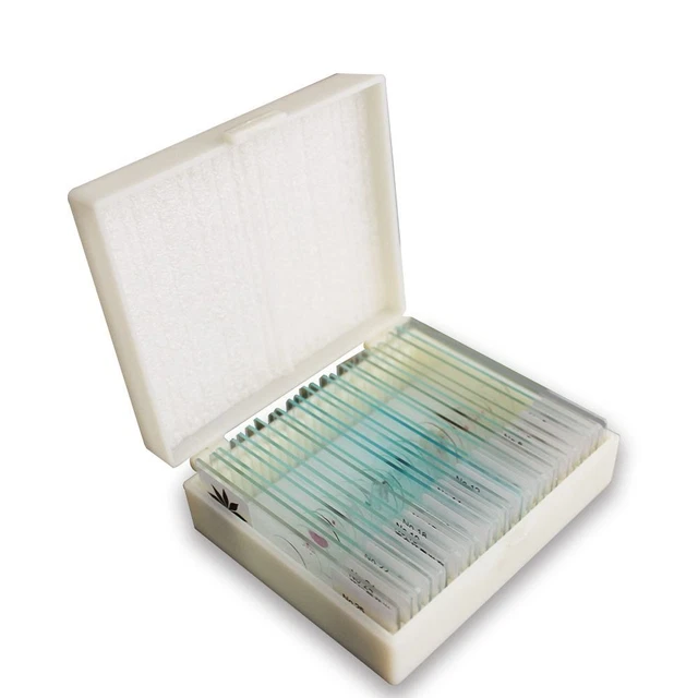 Microscopio Per Bambini, Microscopio Portatile Per Bambini, Kit Scientifico Educativo Per Bambini, Microscopio Per Principianti Con LED 100X 400X E 1200X Incl. Diapositive Preparate Con Campione, 12 - Foto 5