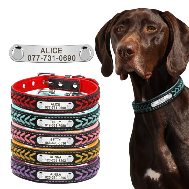 Collare Personalizzato In Pelle Per Cani Cuccioli Gatti Vari Colori Intrecciato