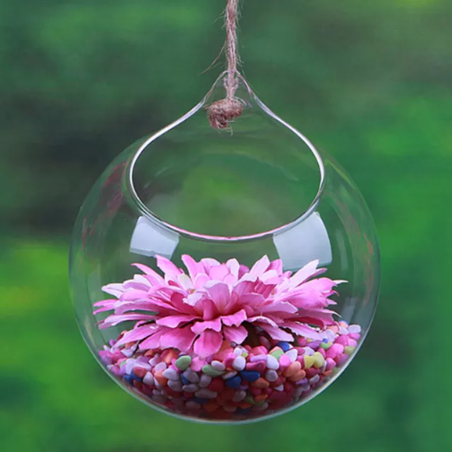 Hanging Glass Ball Succulent Plants Pot Display Stand Plant Container uk