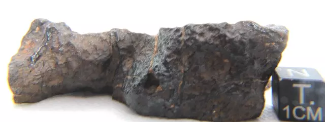 Nwa 15027 Mesosiderite Meteorite ~ 70 Gram From Outer Space 3