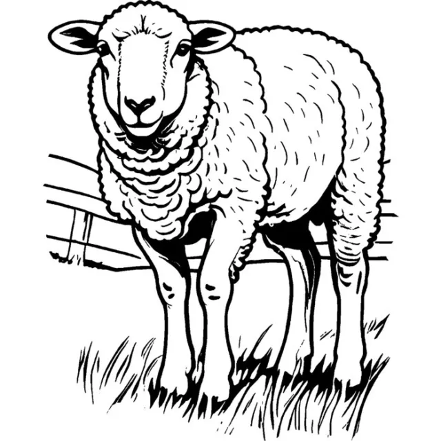 'Schafe grasen auf einer Weide' Stempel (Unmontiert) (RS044959)