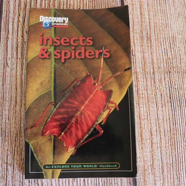 David Sim Insects INSECTS AND SPIDERS by David J. Lewis, Paula E Cushing ~ Discovery ...