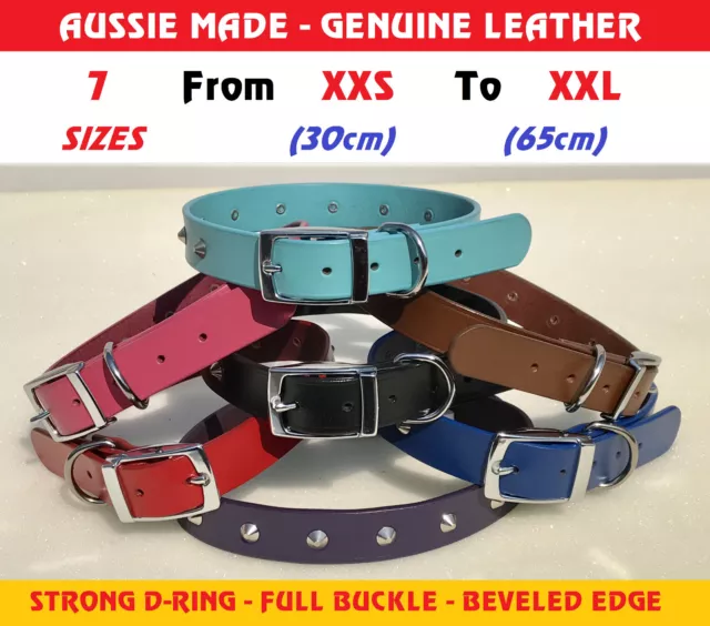 Genuine Leather Dog Collar Lead Harness STUD Belleved Full Buckle - All Sizes