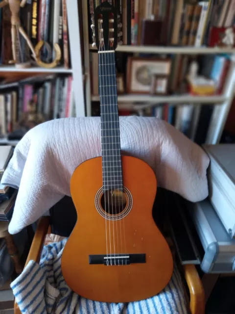 Guitare   Valencia   VC  204 4/4 Guitare de Concert,