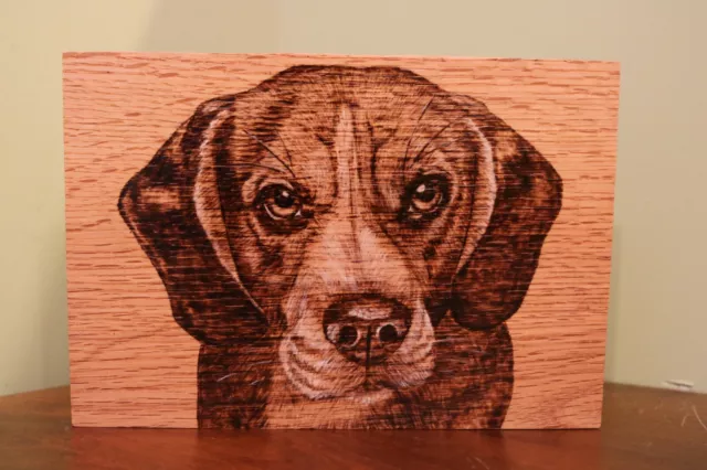 Beagle Face hand made, wood burnt picture on oak