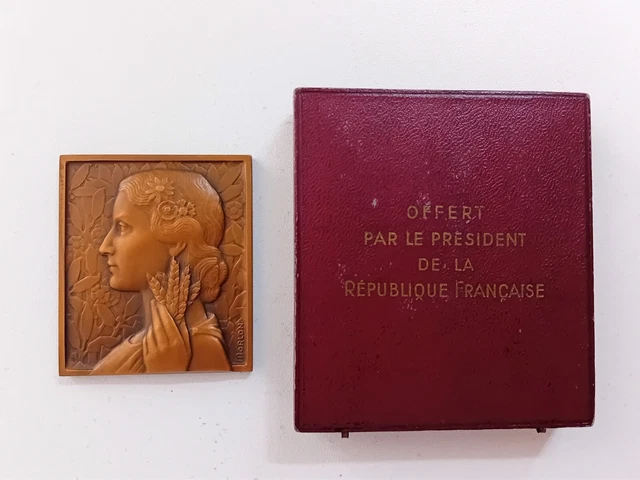 MÉDAILLE PLAQUE MORLON Femme ART DECO offert par PRESIDENT REPUBLIQUE MÉDAILLE PLAQUE MORLON Femme ART DECO offert par PRESIDENT REPUBLIQUE