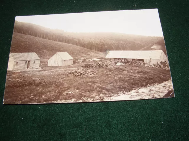 Vintage Postcard Auchenblae Kincardineshire Pine Forest Logging Timber Sheds Rp