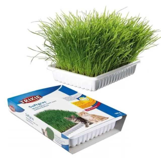 Trixie Cat Grass Seeds & Tray Kit 100g - Aids Digestion, Helps With Hairballs