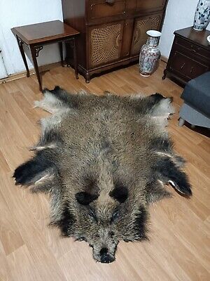 Large Wild boar skin hide pelt fur area rug taxidermy hunting luxury home decor