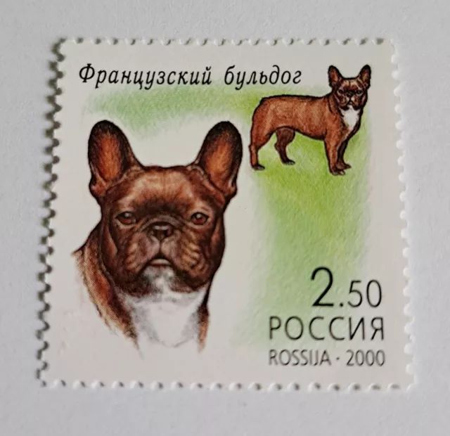 Briefmarke Französische Bulldogge, Russland 2000, ungestempelt, French Bulldog