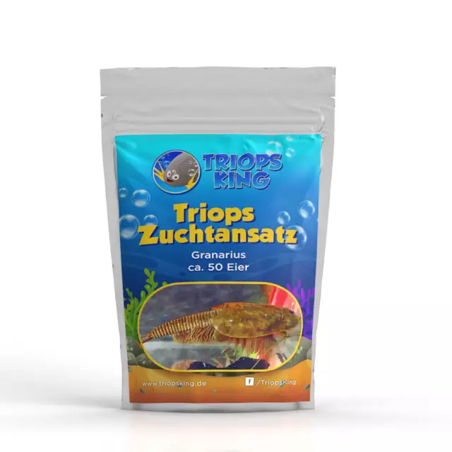 Triops Granarius Urzeitkrebse Zuchtansatz Eier-Sand-Gemisch mit Triopseier