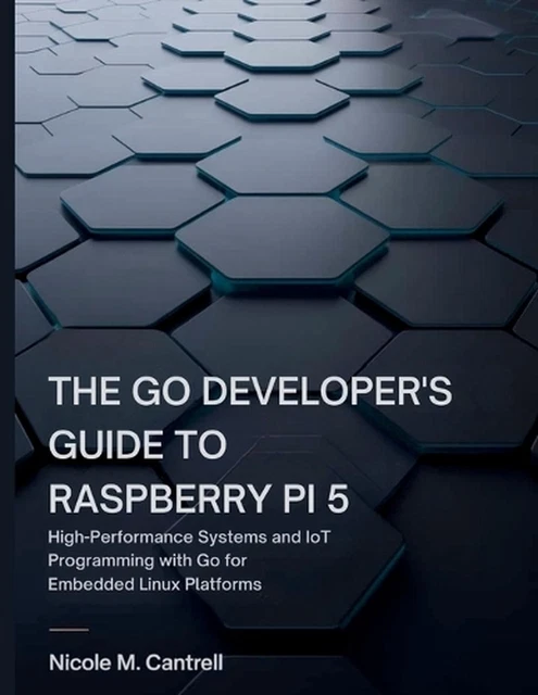 THE GO DEVELOPER'S Guide to Raspberry Pi 5: High-Performance Systems ...