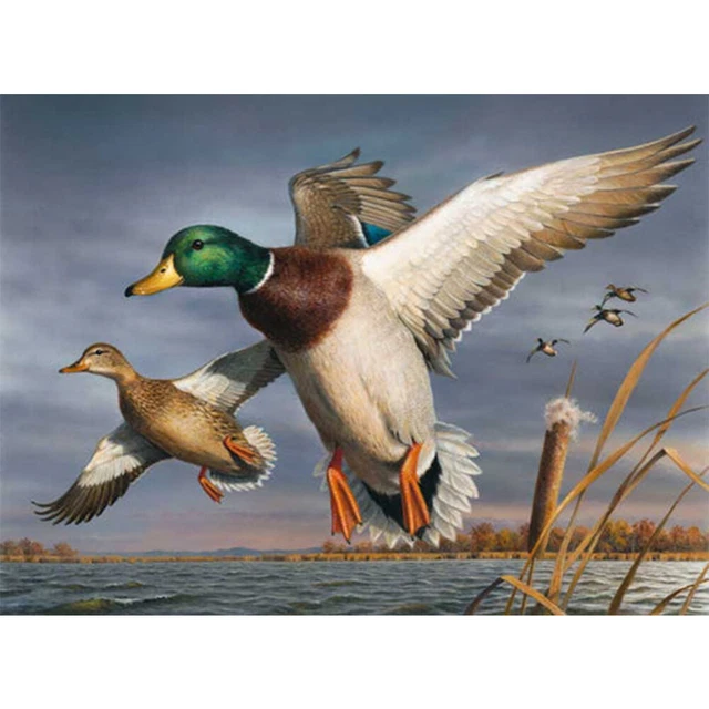 Wild Duck on Lake Oil Paint By Numbers Kit DIY Acrylic Painting on Canvas Draw F