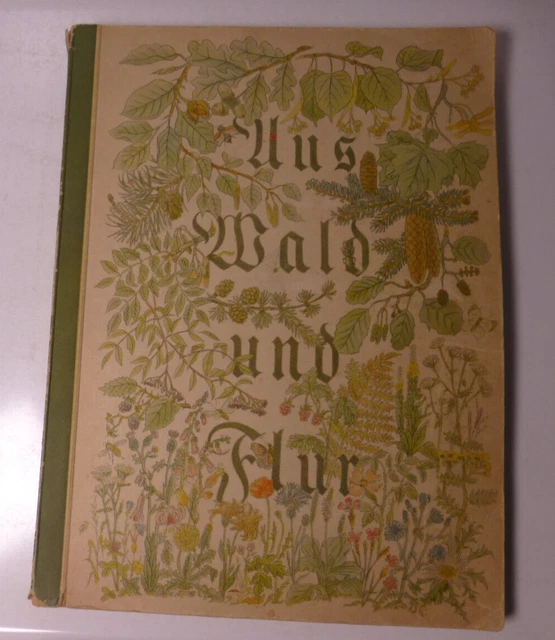 &AUS WALD UND Flur - Pflanzen unserer Heimat\