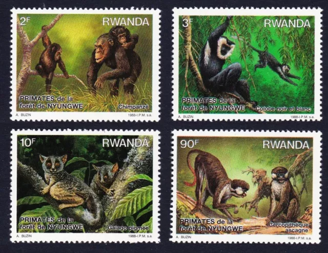 Ruanda Primates of Nyungwe Forest 4v 1988 nuovo di zecca sg#1316-1319 mi#1389-1392