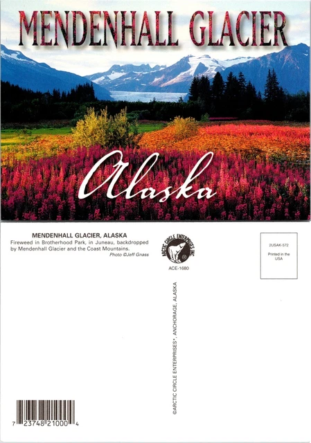 Alaska Juneau Mendenhall Glacier View Brotherhood Park VTG Postcard