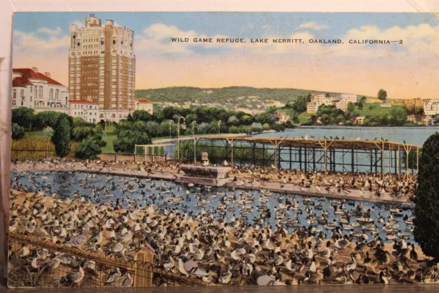 California CA Oakland Lake Merritt Wild Game Refuge Postcard Old Vintage Card PC