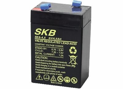 SKB Batteria Piombo 6v 3,2ah Orizzontale Skb SKB 38620305 BATTERIA AL PIOMBO 6V 3.2A 