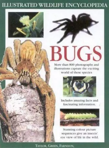 The Big Bug Book: Discover the Amazing World of Beetles, Bugs, Butterflies,...