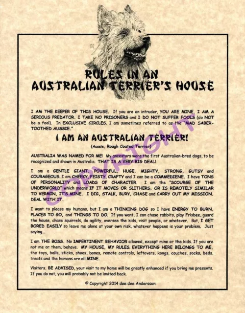 Rules In An Australian Terrier's House