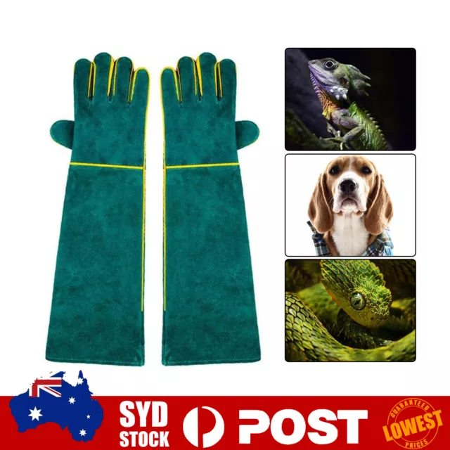 Animal Training Handling Anti Bite Proof Scratch Gloves Pet Dog Cat Bird Snake I