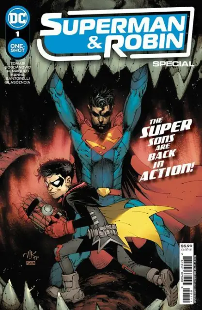 Superman & Robin Special #1 | Select A B 1:25 Covers | NM 2022 DC Comics