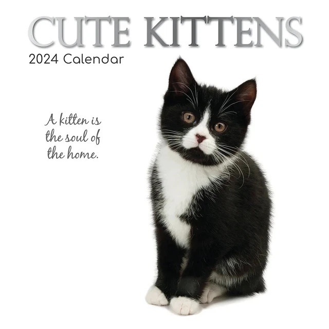 2025 CALENDAR CUTE Kittens Cats Square Wall 16 Month Home Office