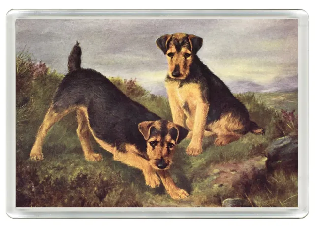 Welsh Terrier Dogs Dog Art Print Novelty Acrylic Fridge Magnet Great Gift