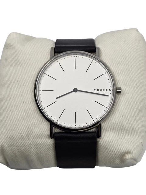 Skagen skw6419 online