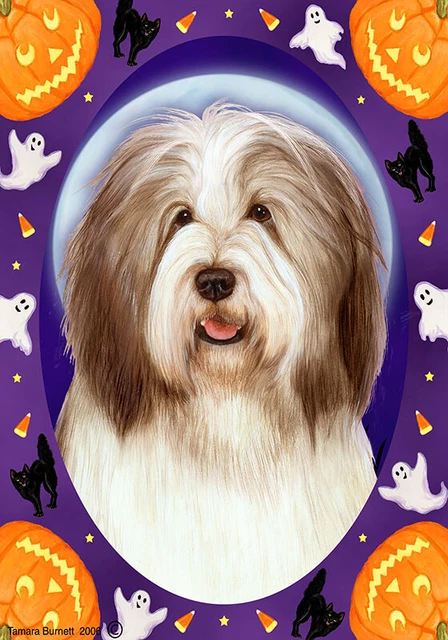 Halloween Garden Flag - Brown and White Bearded Collie 124821