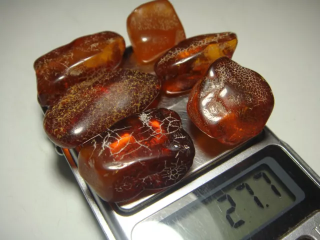 AMBER / raw baltic stones bernstein natural bursztyn POLISHED genuine 琥珀 (e767