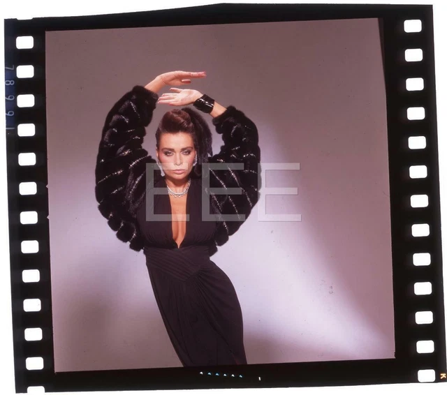 1984 CARRIE LEIGH Playboy Model Actress Harry Langdon Transparency w