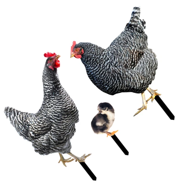 3 Pcs Pheasant Garden Decoration Metal Yard Art Garden Hen Statue Lawn Pheasant
