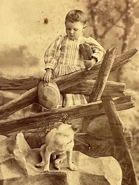 1890's Cabinet Card Little Girl & Her Terrier Dog Studio Portrait Nanticoke PA