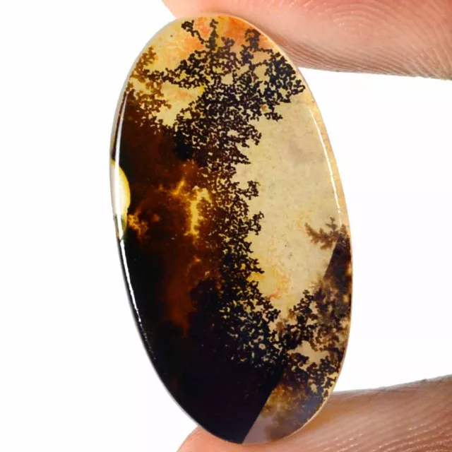 08.35 Cts 100% Natural Scenic Dendritic Agate Tree Cabochon Loose Gemstone TS25