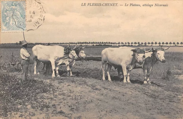 CPA 91 LE PLESSIS CHENET / NIVERNAIS COUPLING / AGRICULTURE SCENE / rare shot