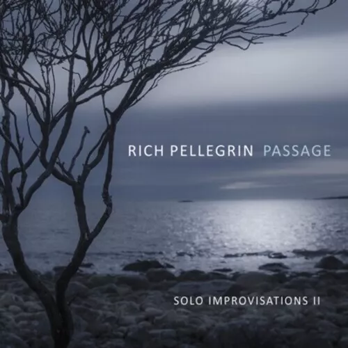 Rich Pellegrin - Passage: Solo Improvisations Ii [New CD]