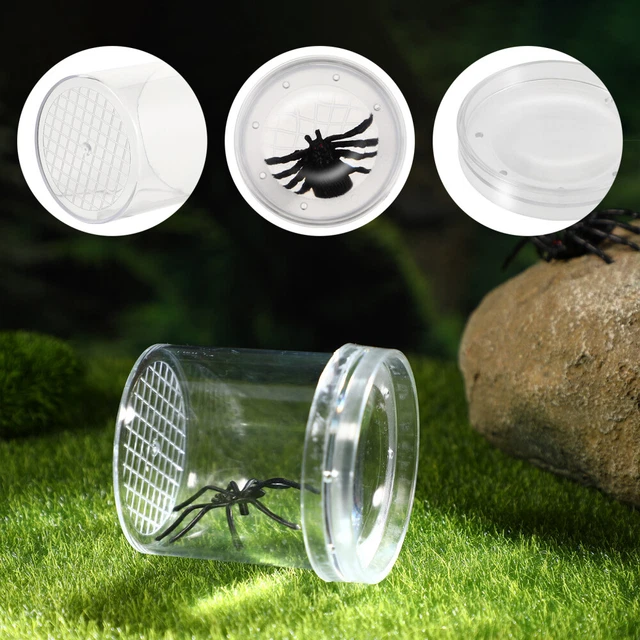 Magnifying Jar Insect Observation Cup Reptilians Reptile Fogger Transparent