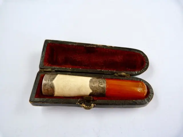 1900 - Albert Platnauer - Solid Silver/Meershaum/Amber - Cigarette Holder & Case