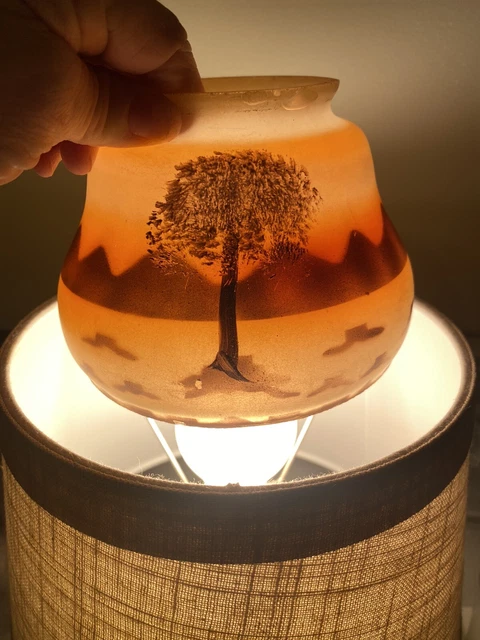 glass lamp shades antique reverse painted